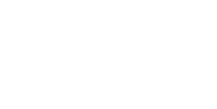 Academia MG